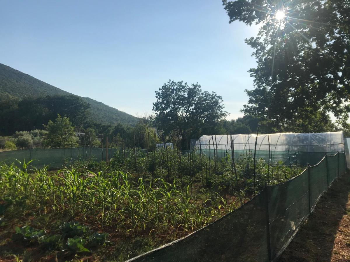 Villa Flowers Međugorje Zewnętrze zdjęcie