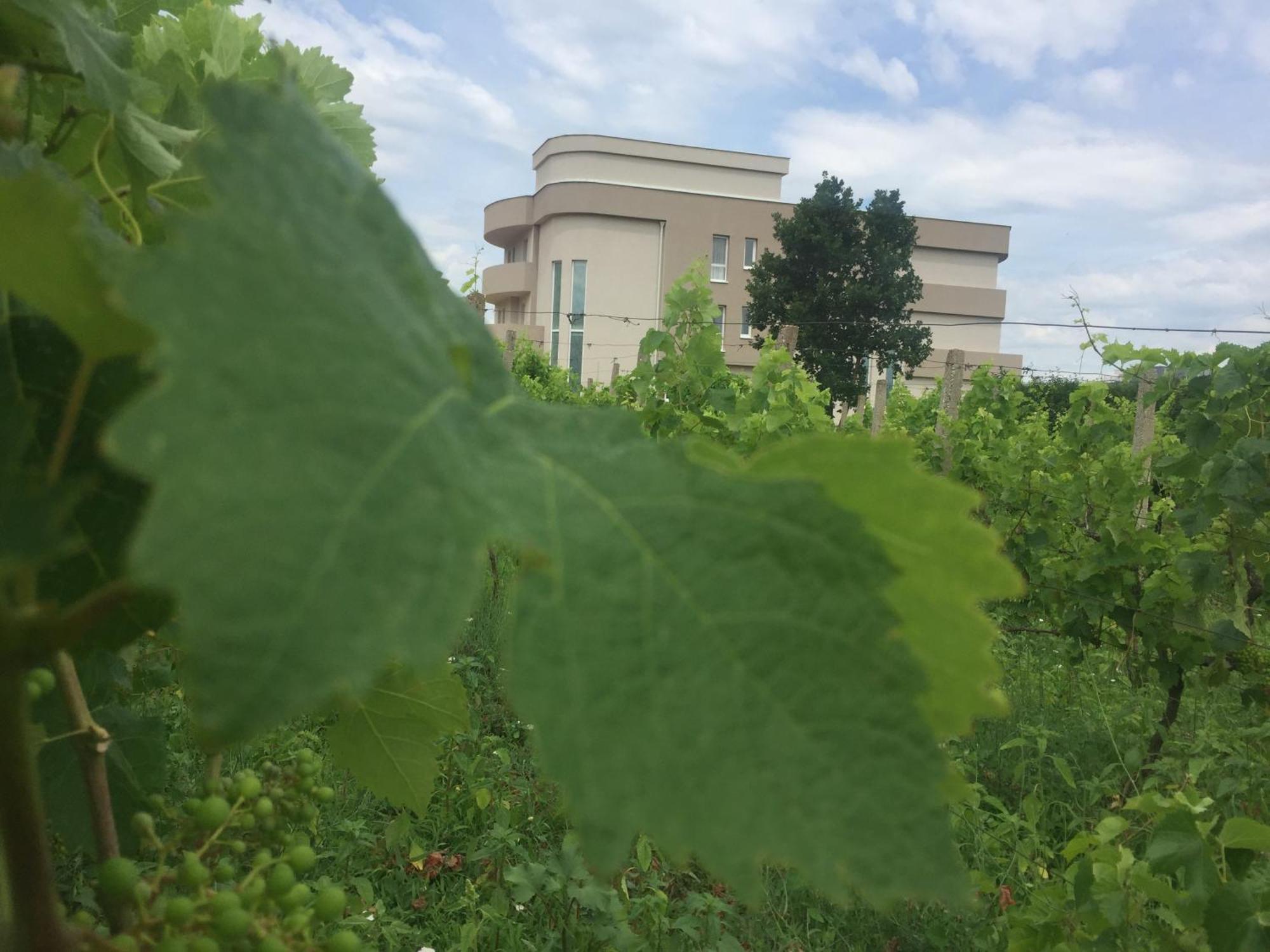 Villa Flowers Međugorje Zewnętrze zdjęcie