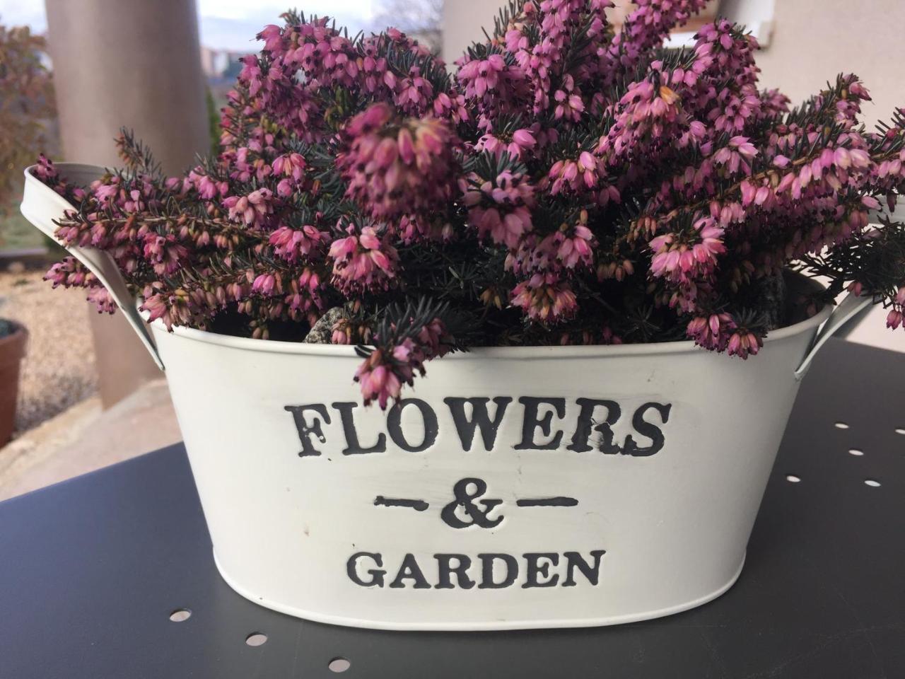 Villa Flowers Međugorje Zewnętrze zdjęcie